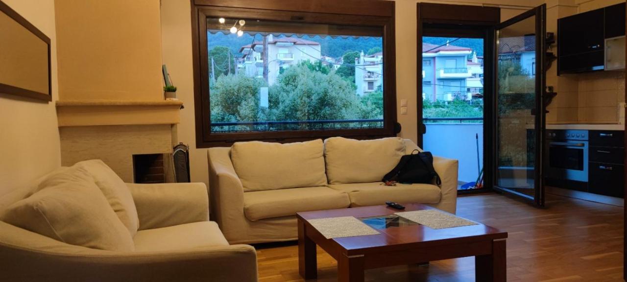 Luxury Apartment Olympus Mountain View Litochoro Exterior photo